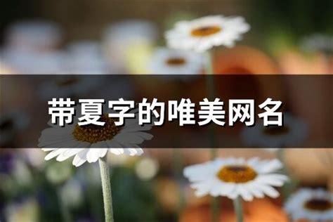 夏的名字|带夏字好听的名字大全